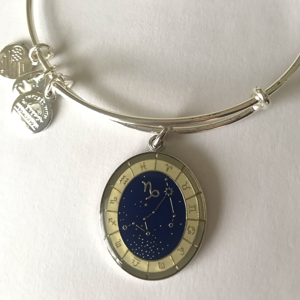 Alex and Ani Celestial Wheel Capricorn shiny silver bracelet